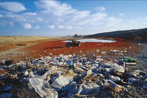 Особенности вывоза бытовых отходов
