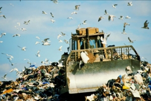 Проблема вывоза отходов и свалок в столице