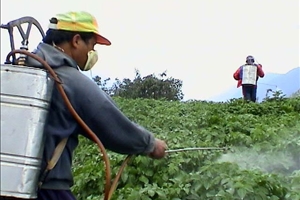 Что такое пестициды
